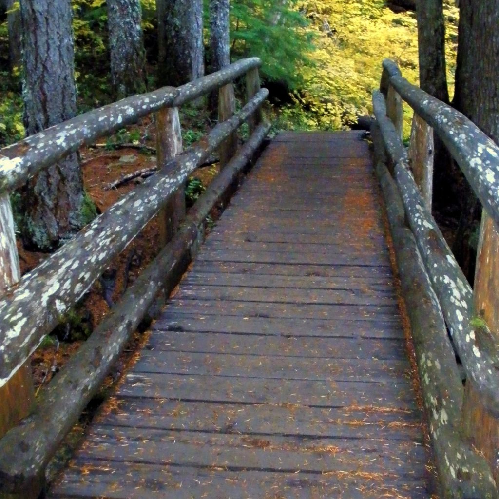 Rustic bridge at Clear Lake, OR