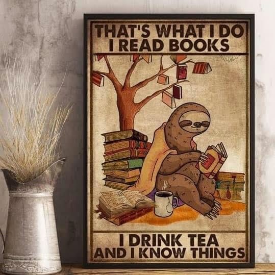 sloth reading meme